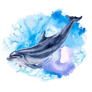 Meet your Posher, Jacquelyn